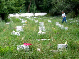 カザフの日本人墓地